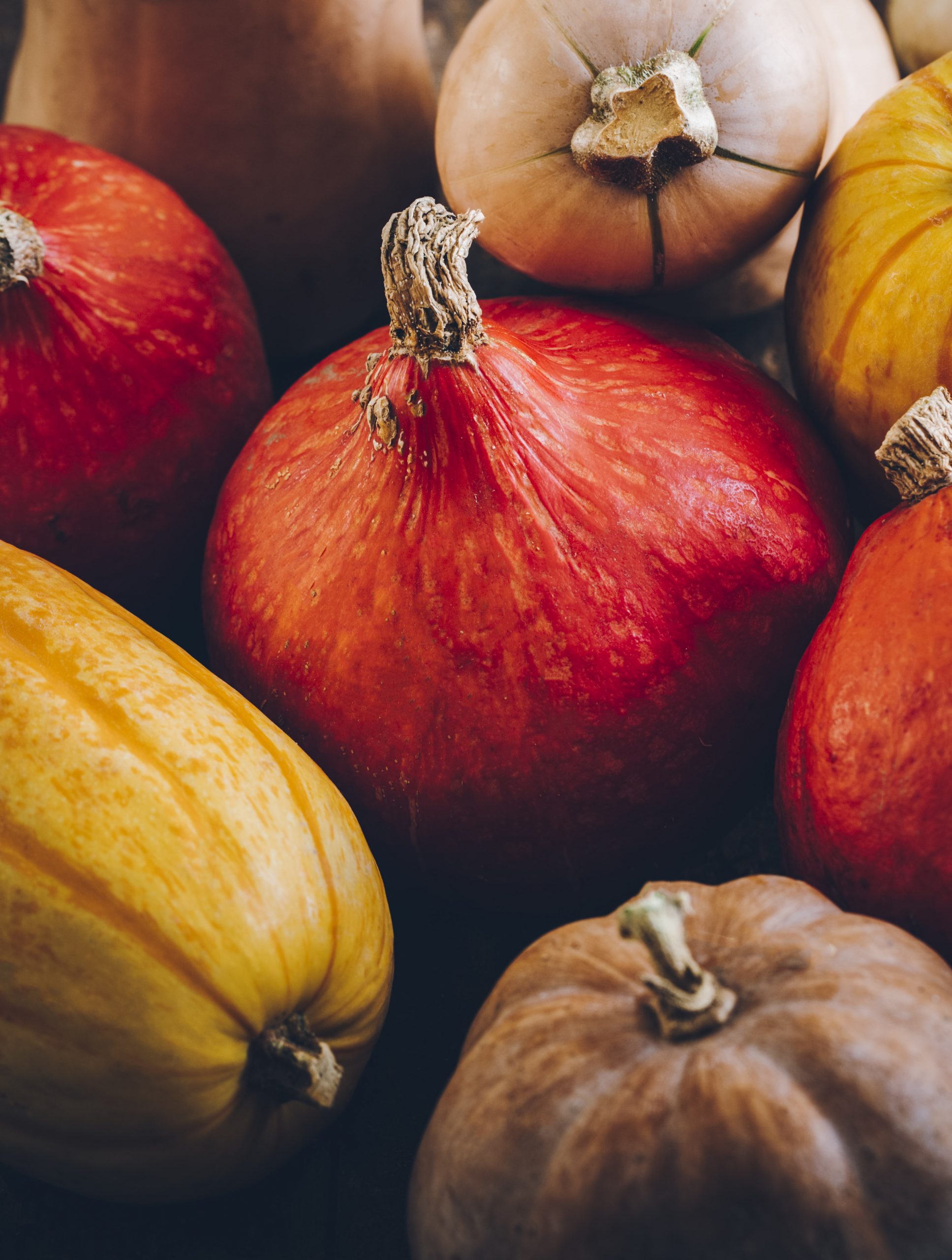 Les différentes variétés de courges chez fresh.