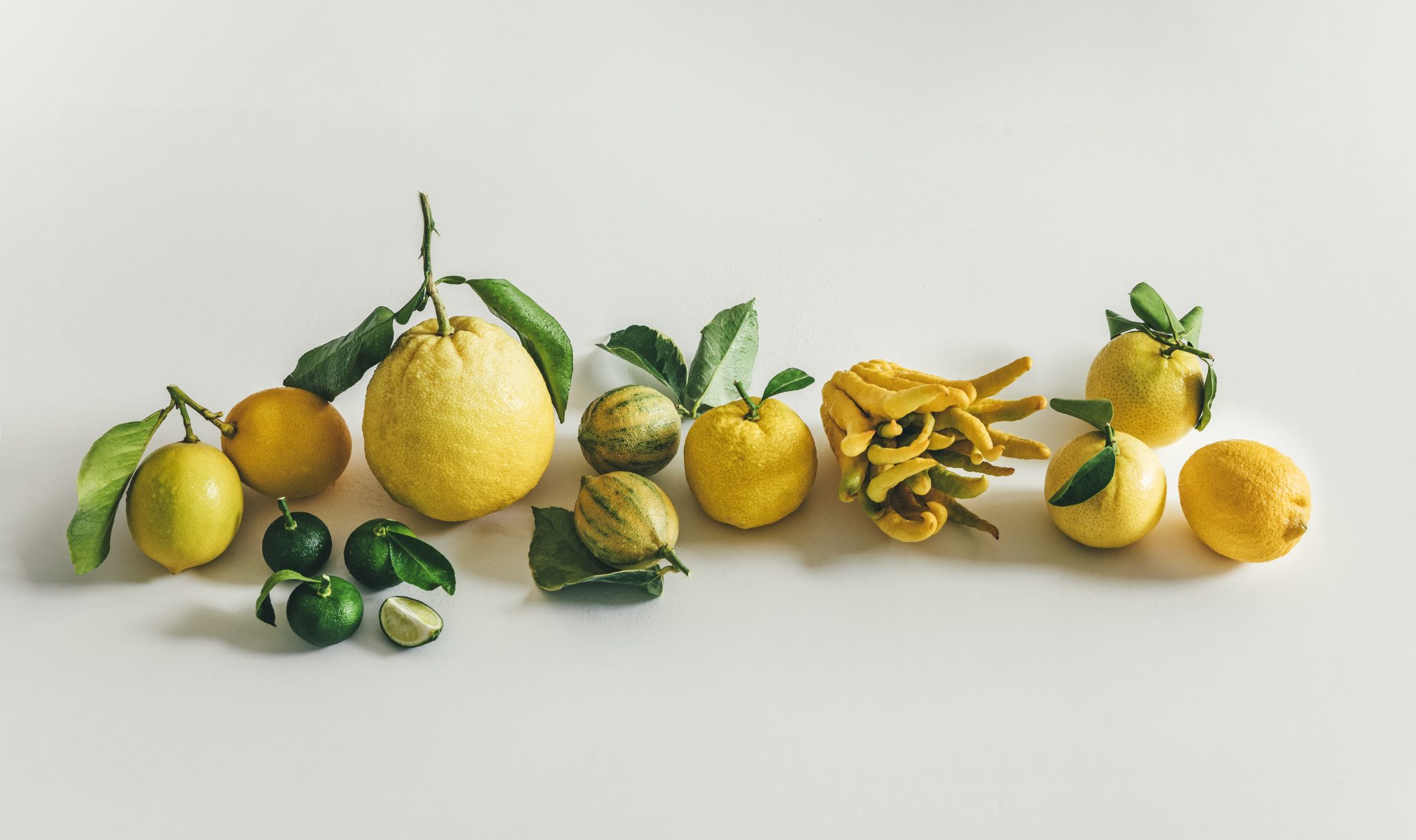 Citron vert ou jaune, quelle est la différence ? fresh.