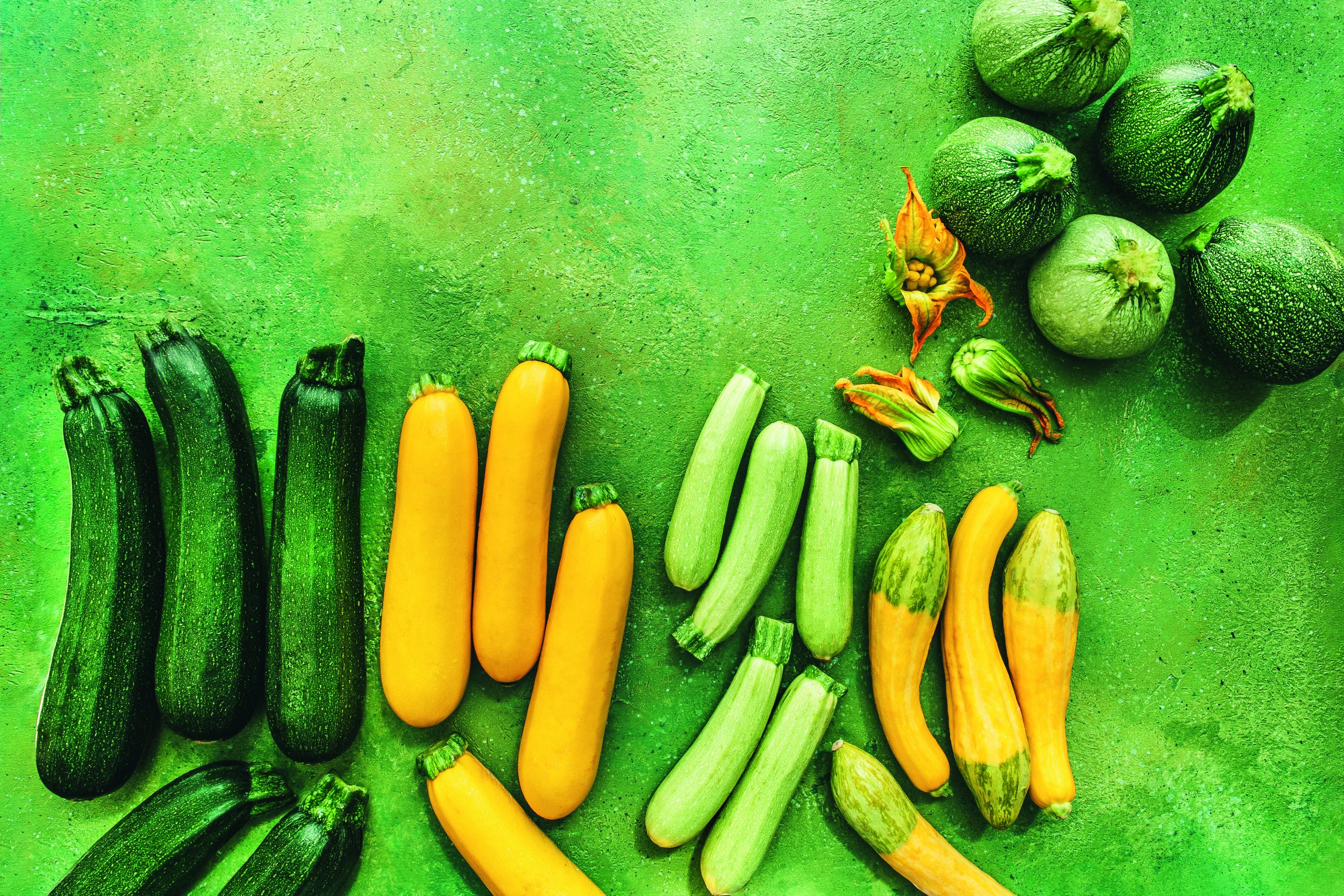 La courgette chez fresh.