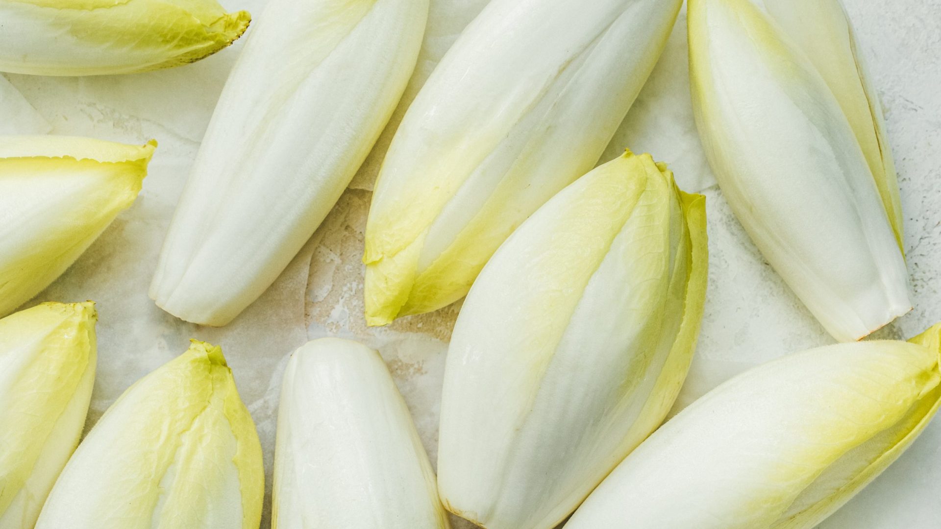 endive sachet. fresh.