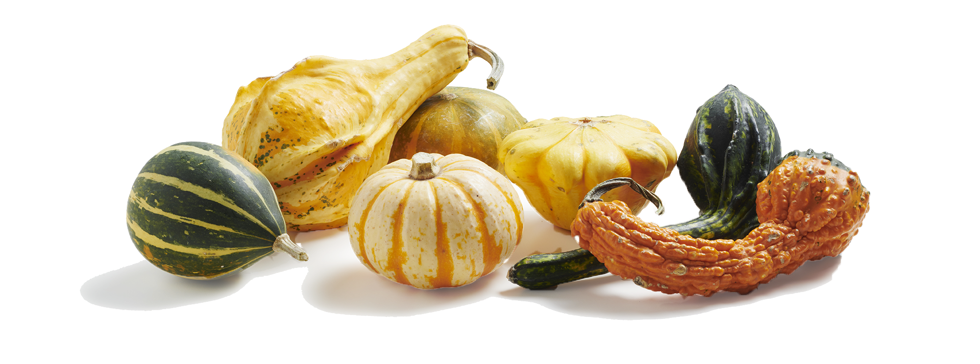 Les différentes variétés de courges chez fresh. fresh.