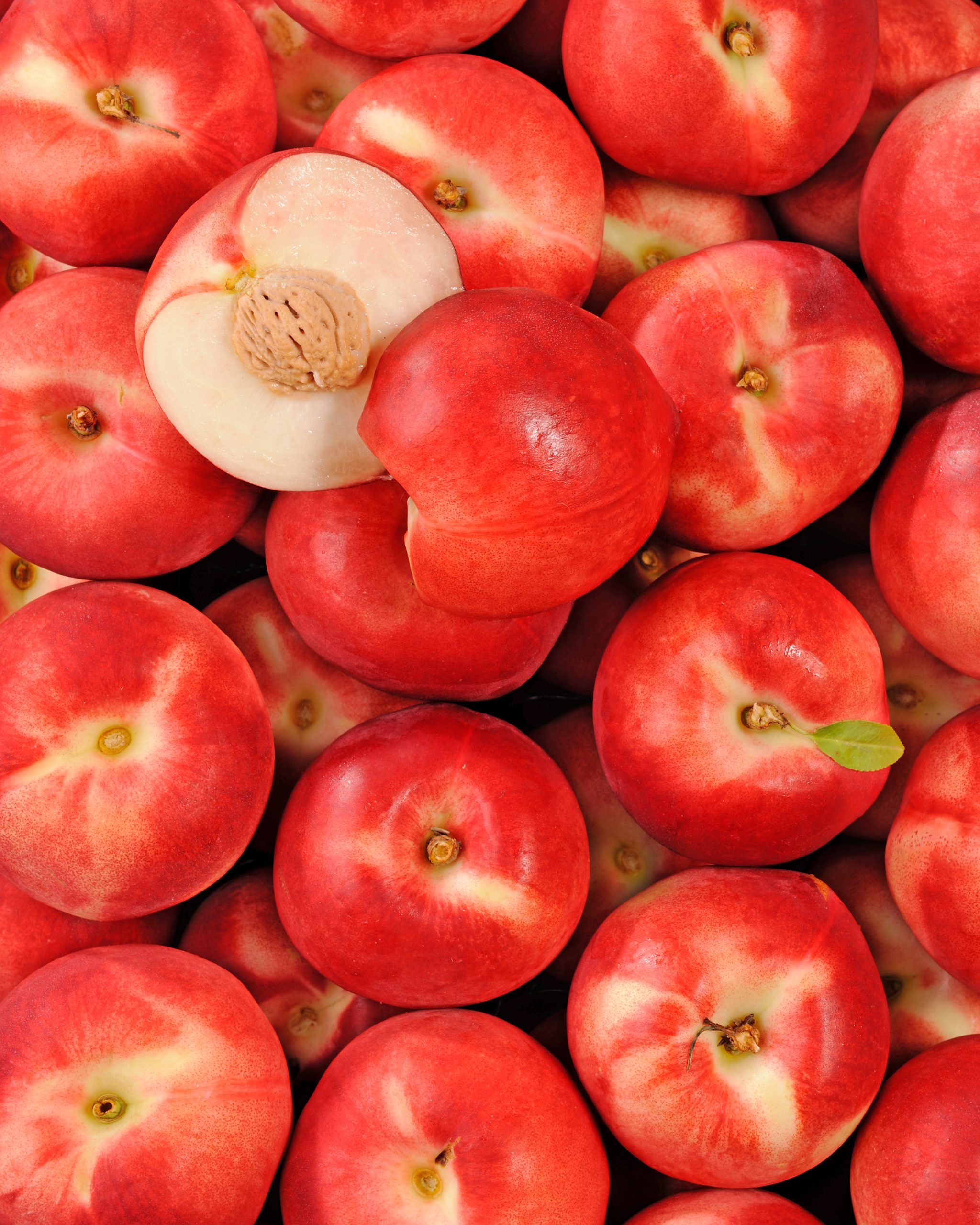 nectarine blanche. fresh.