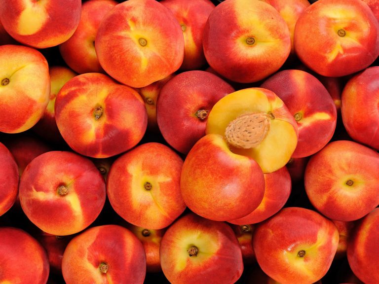 Nectarine