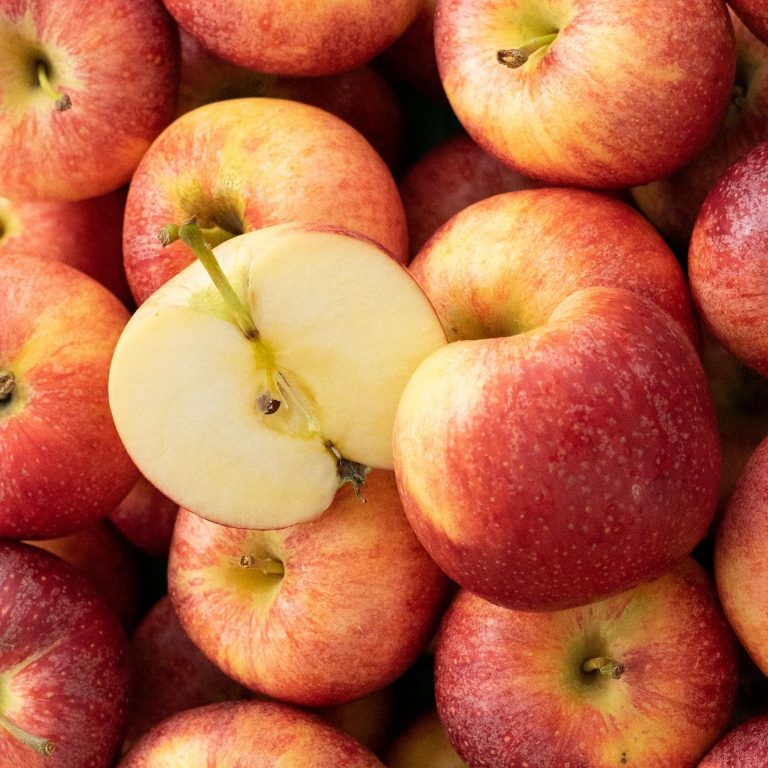 Pomme Gala