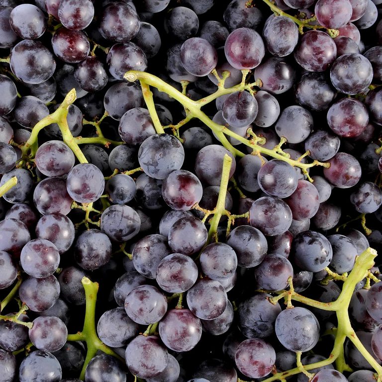 Raisin Muscat HVE
