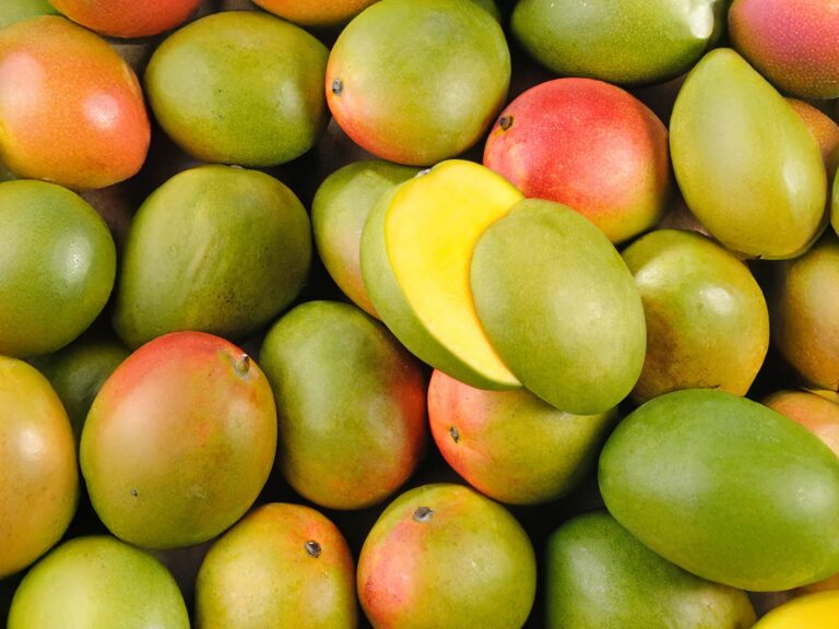 Mangue