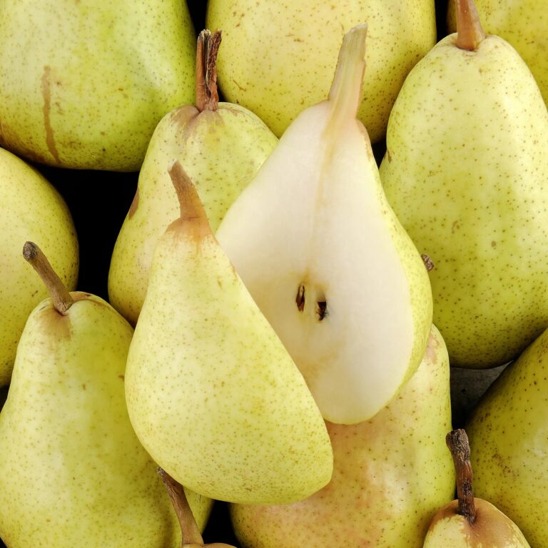 Poire Williams verte HVE