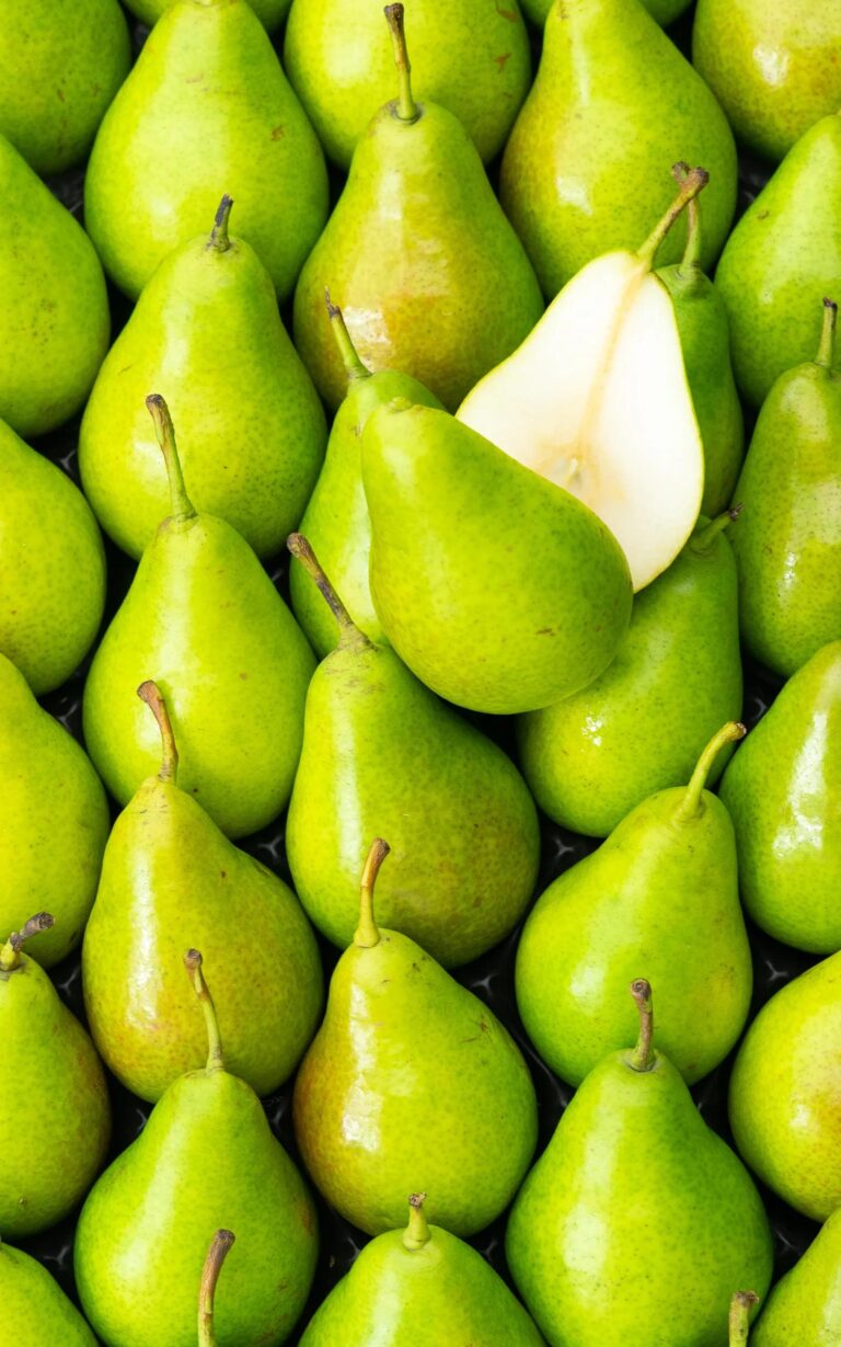 Poire Louise Bonne HVE