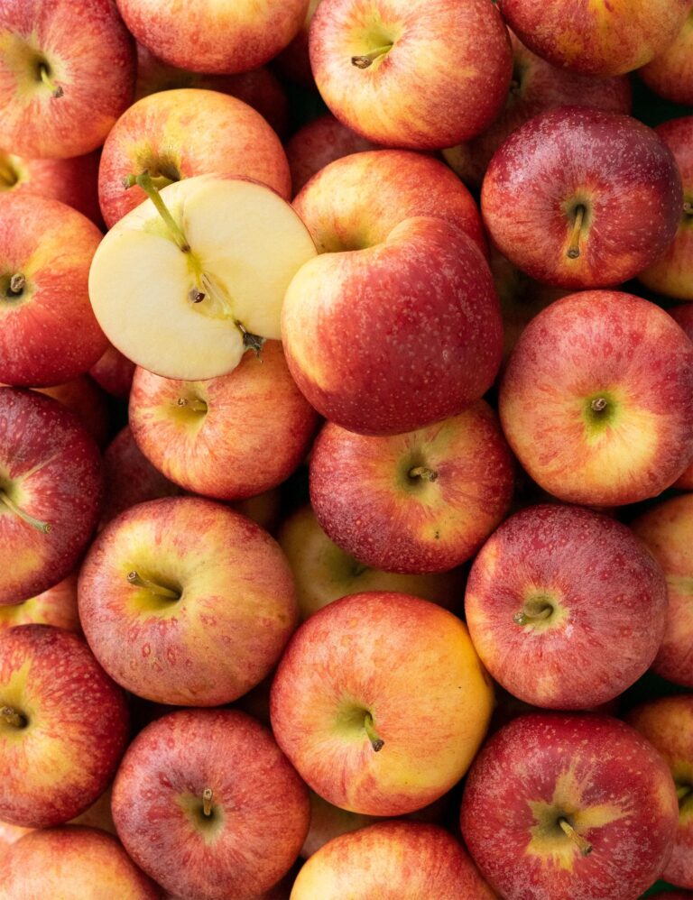 Pomme Gala