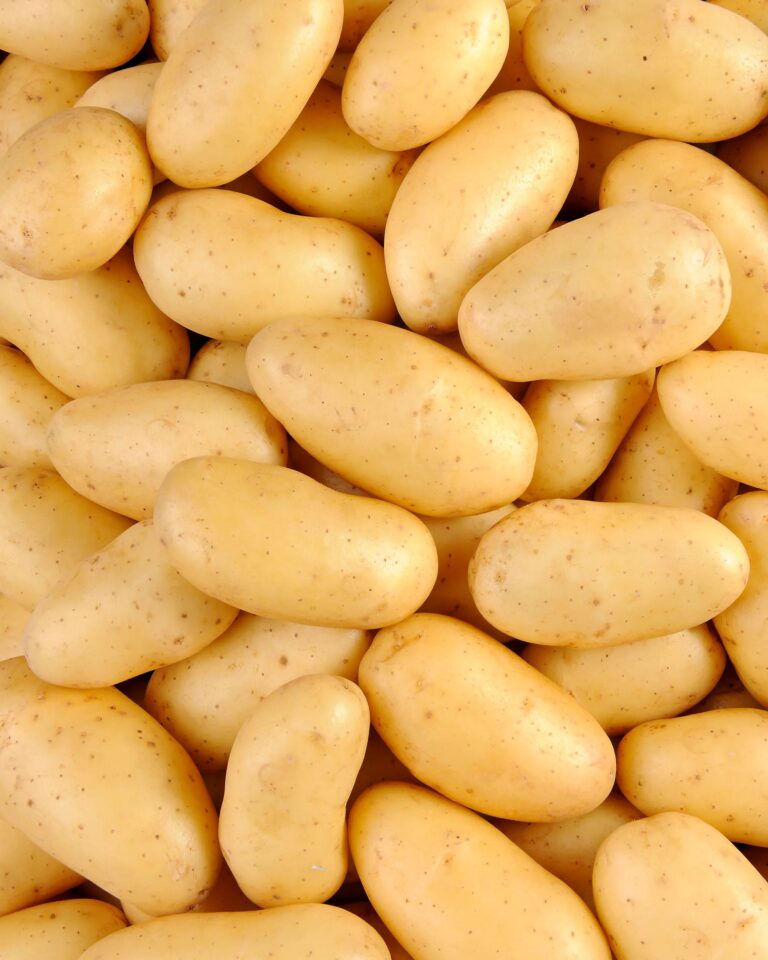 Pomme de terre vapeur salade