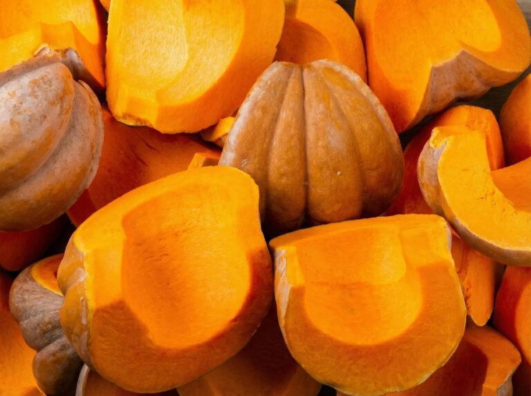 Courge