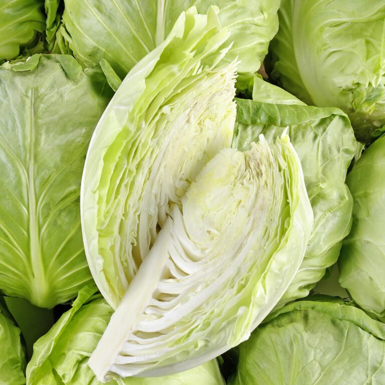 Chou vert