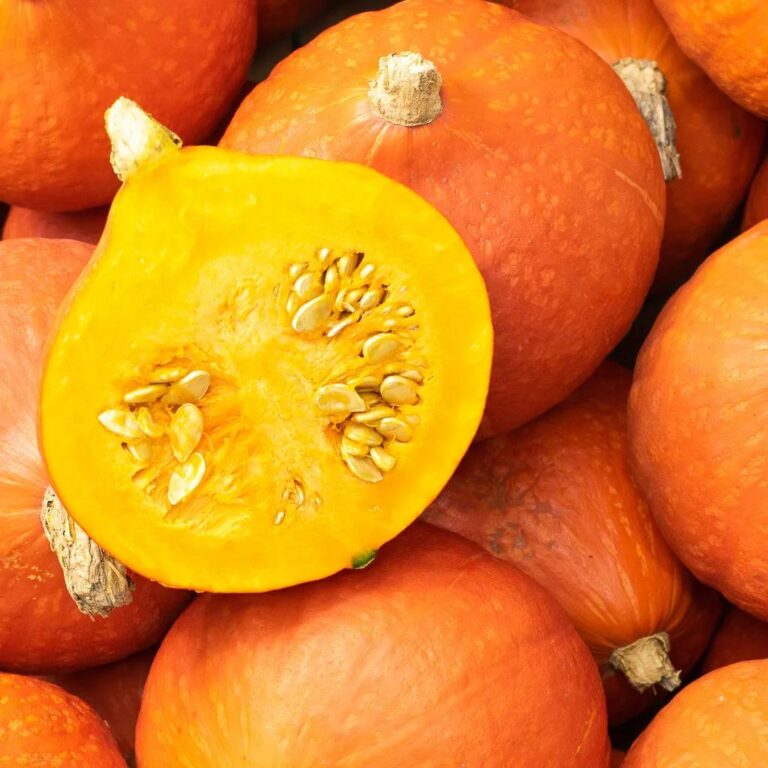 Potimarron