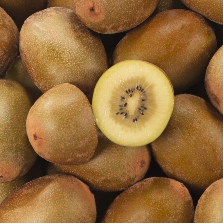 Kiwi jaune SunGold
