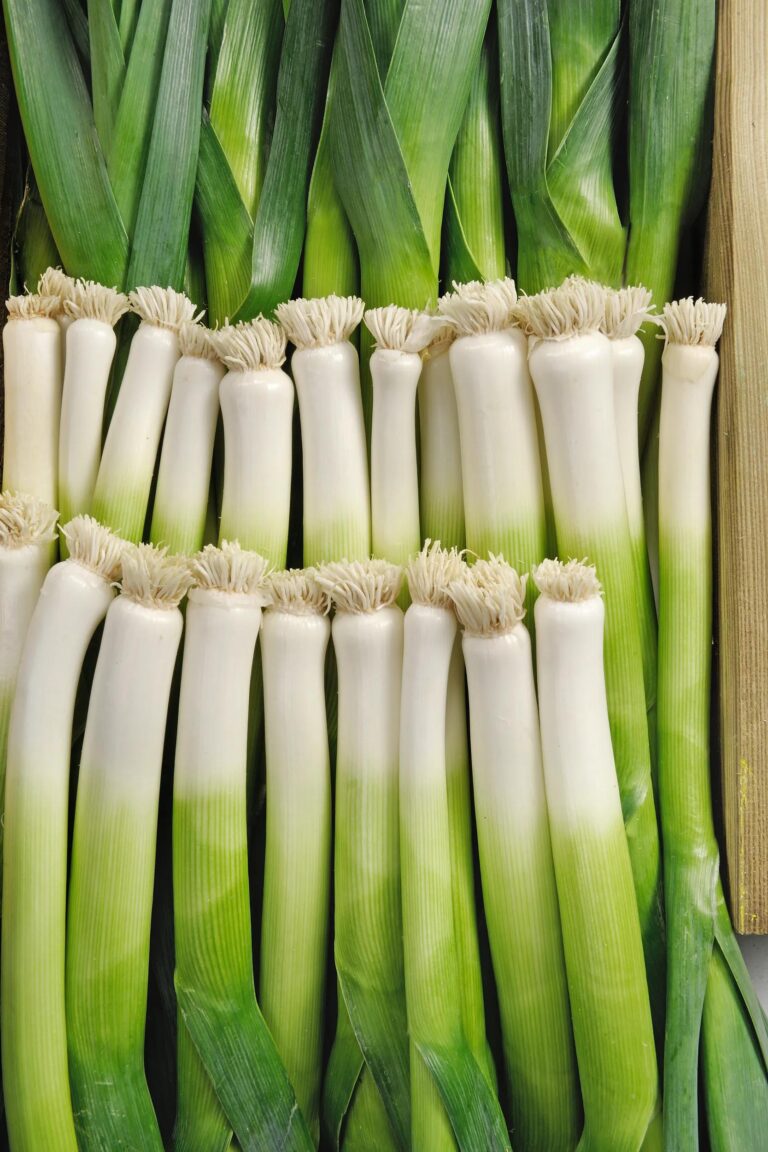 Poireau