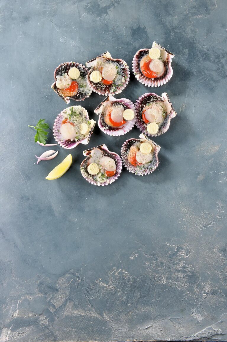 Coquilles de pétoncles